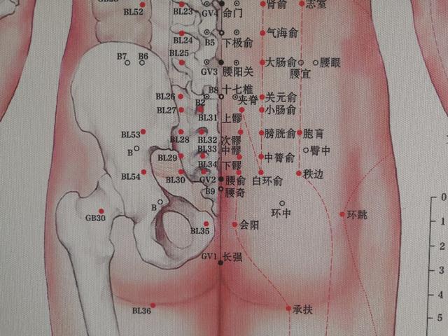 冰冷的世界感受一丝温暖,冰冷的世界有一丝温暖