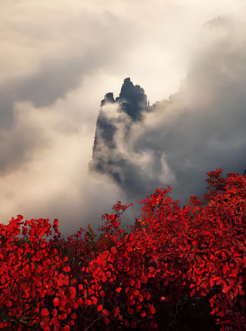 又到漫山红叶时文章,又到满山红叶时原唱