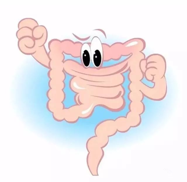 内镜下摘除息肉后几天能走路,内镜摘除肠胃息肉后饮食