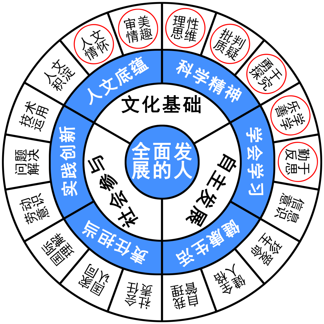 笨拙未尝不是一种生活态度,关于笨拙的生活的作文