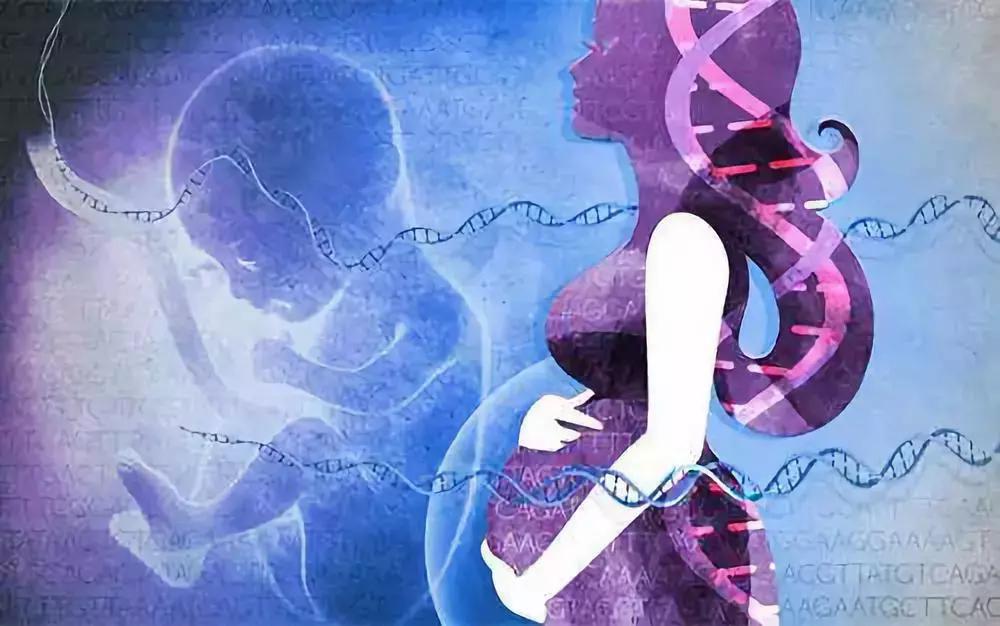 10月的武汉，有20个好消息请各位武汉人查收