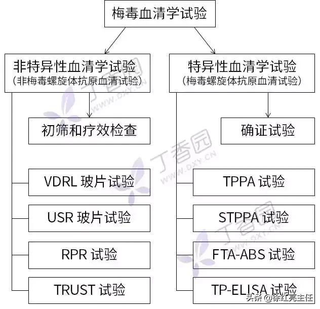 【皮肤科那点事】接触梅毒患者,医生怕不怕被感染?