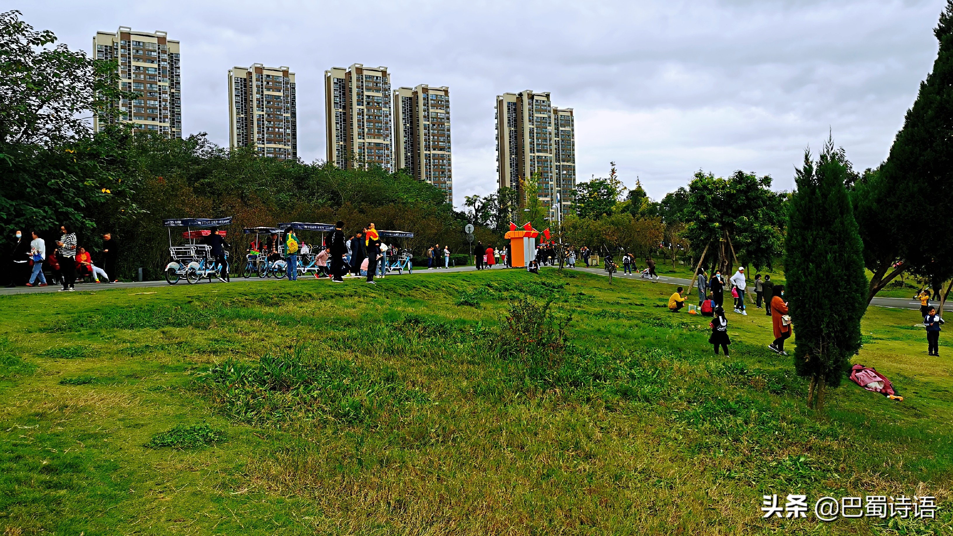 青龙湖短文,玄武湖优美散文