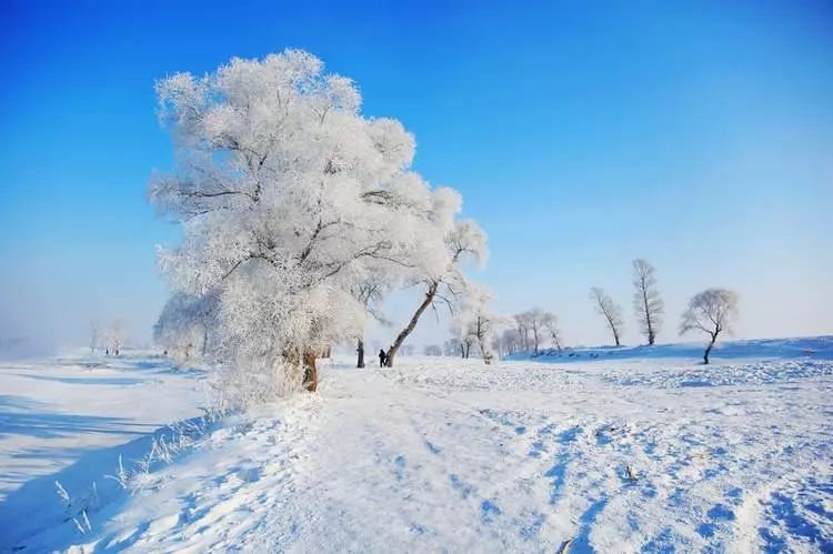 冬日必去赏雪胜地,冬日游必去的地方