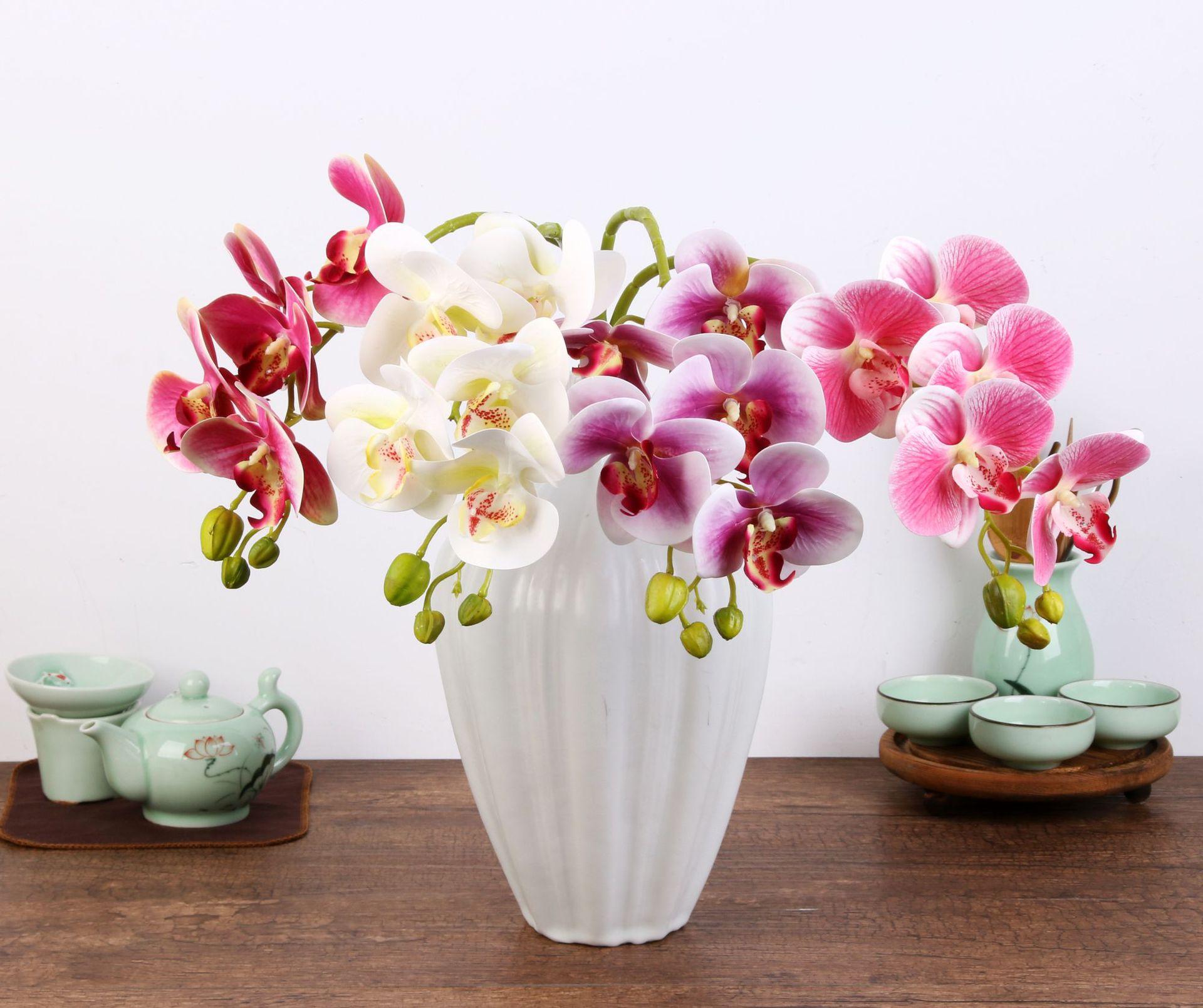 花苞半开就脱落,花苞掉了一地怎么办