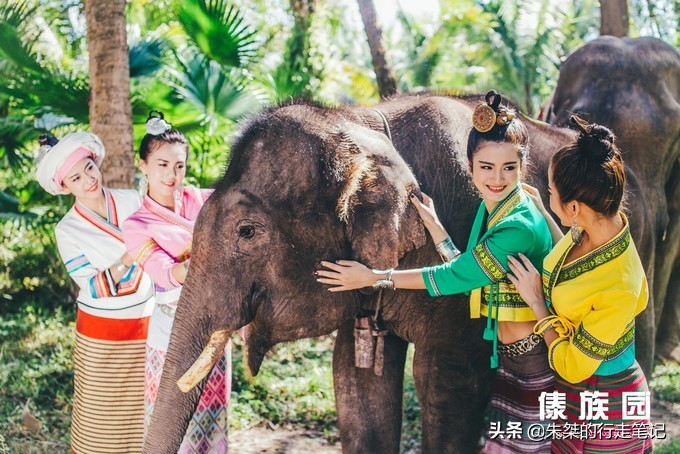 西双版纳泼水节攻略,西双版纳傣族泼水节和广西泼水节