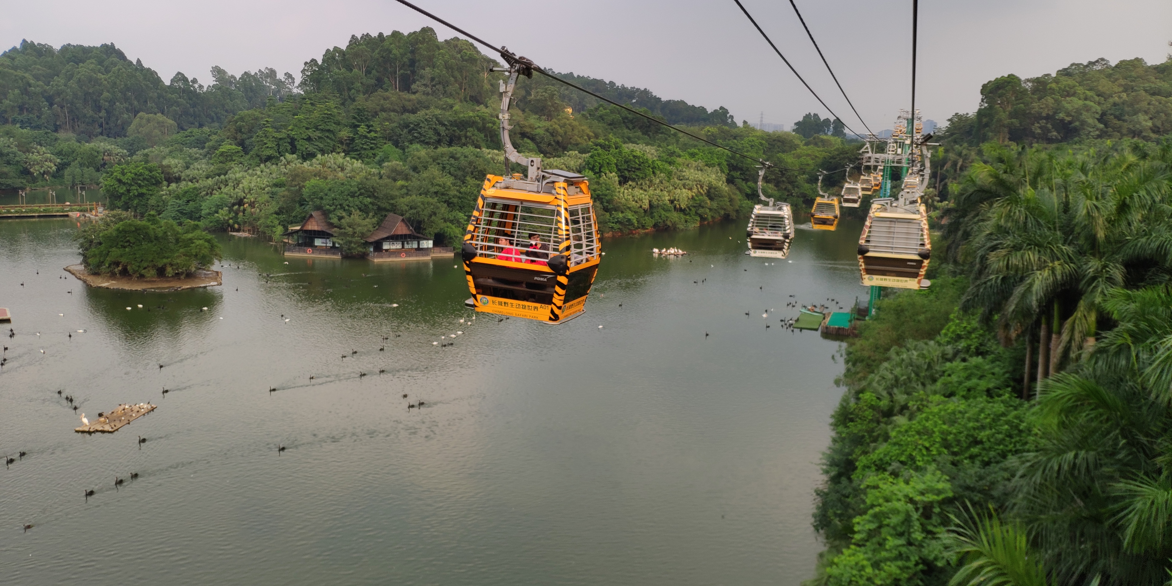广州长隆四大园区攻略,广州长隆有哪些好地方
