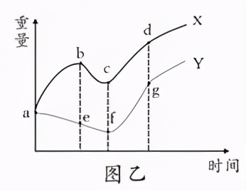 七上生物绿色植物的呼吸作用复习,高一生物必修一呼吸作用习题讲解
