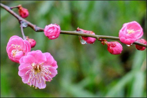 四年级优秀作文我学会了什么300字,四年级优秀作文我学会了什么