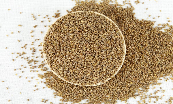 山西朔州名片,朔州标志