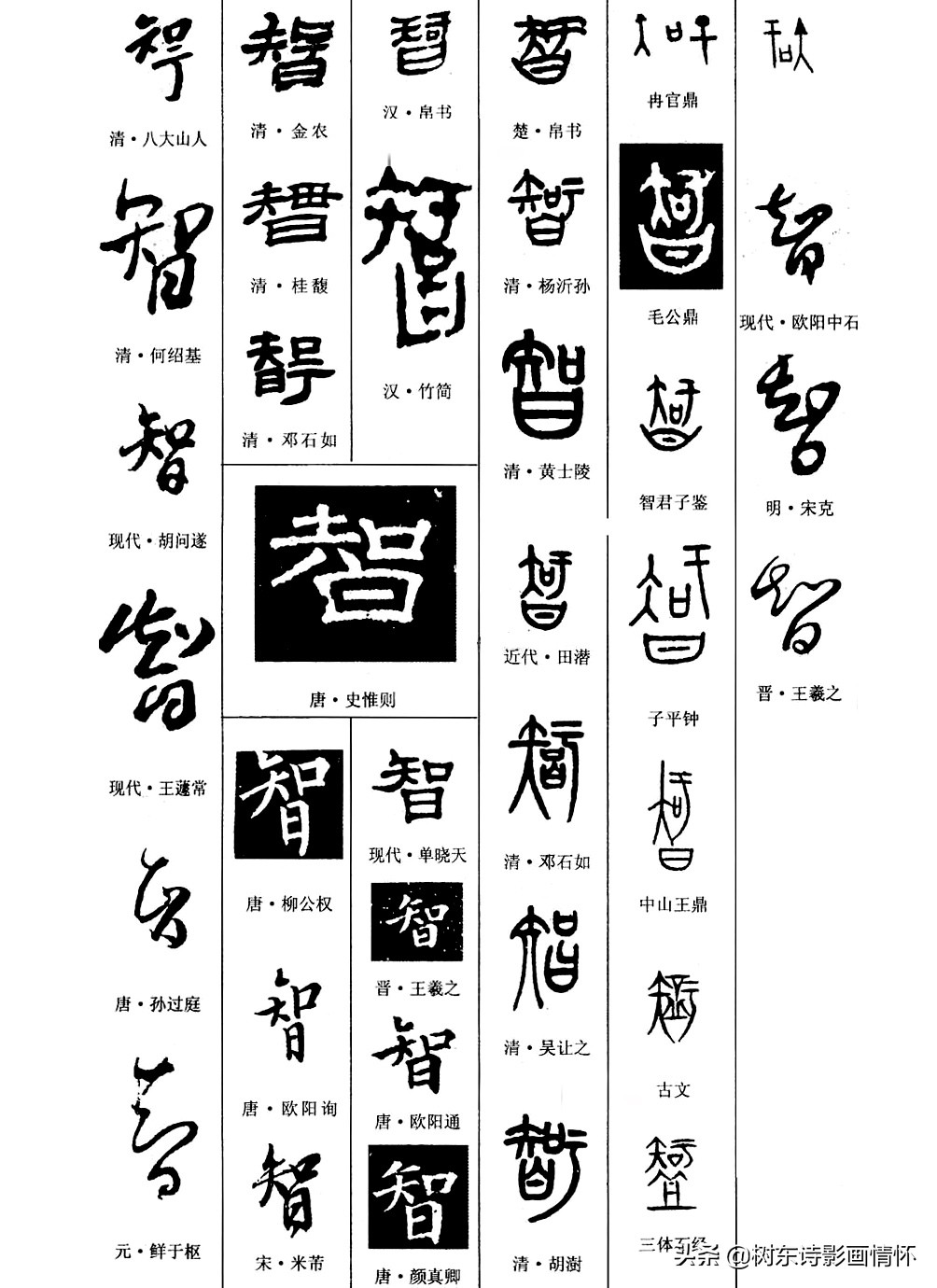 智字的起源,智字经典语录