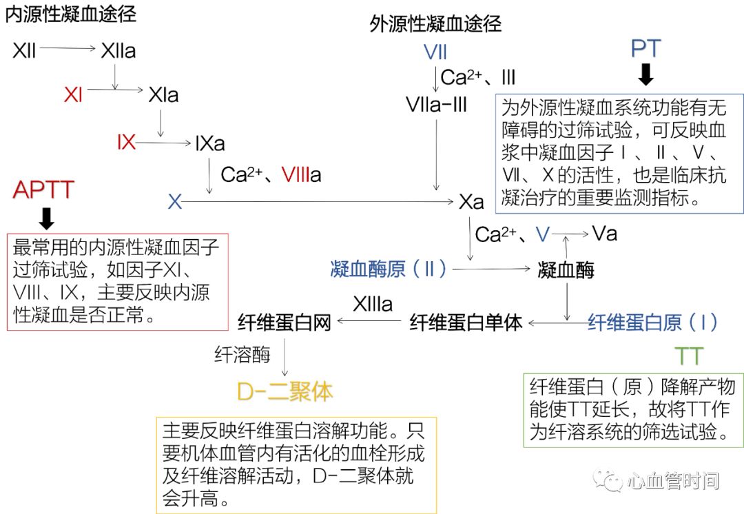 医学生护考知识点,凝血四项试题