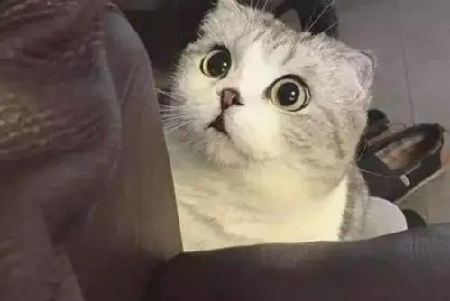 含有亚油酸的油怎么食用,吃高油酸的油对身体好与坏处