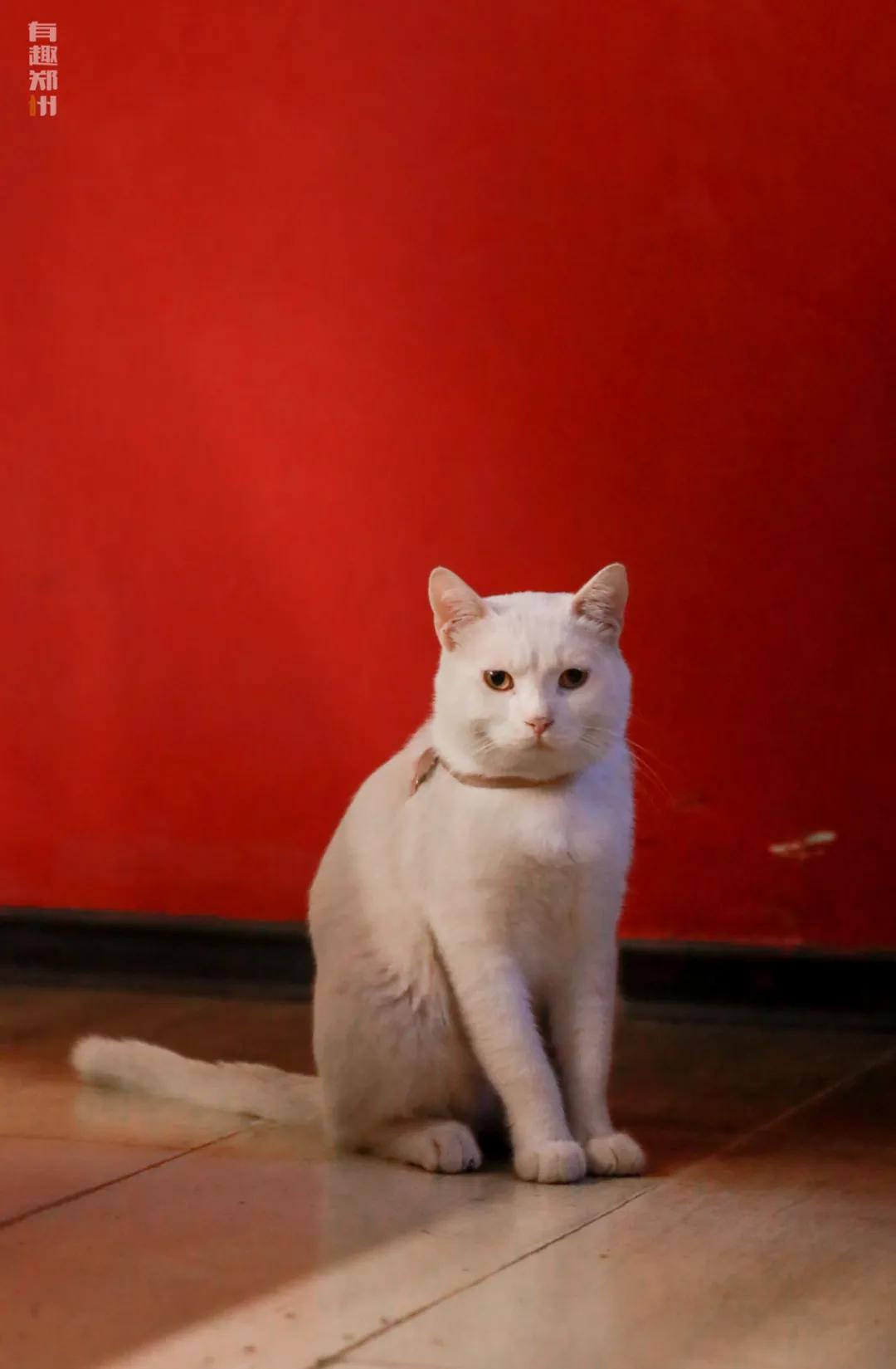 北街13号咖啡馆,隐藏在巷子里的一家复古咖啡店