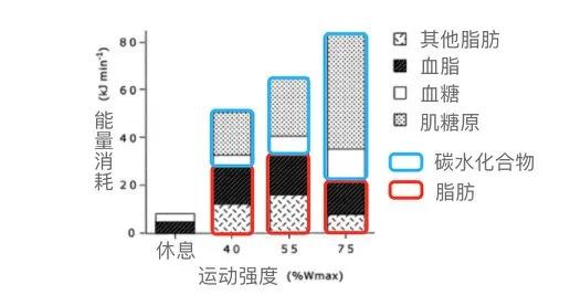 减脂适合做什么运动,适合中年人减脂的运动