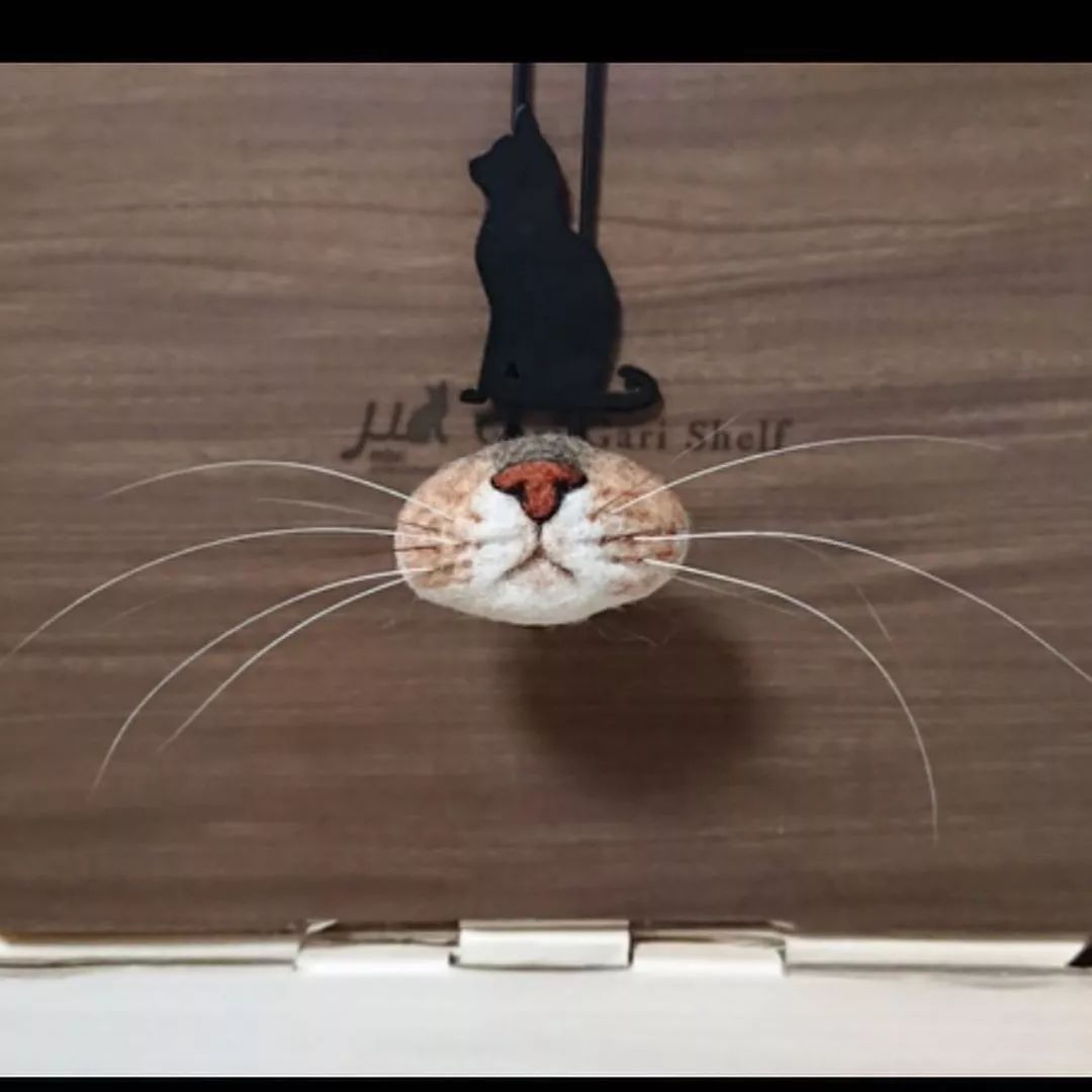 捡到猫胡子会带来什么好运 (捡到猫的胡子真的会有好运吗)