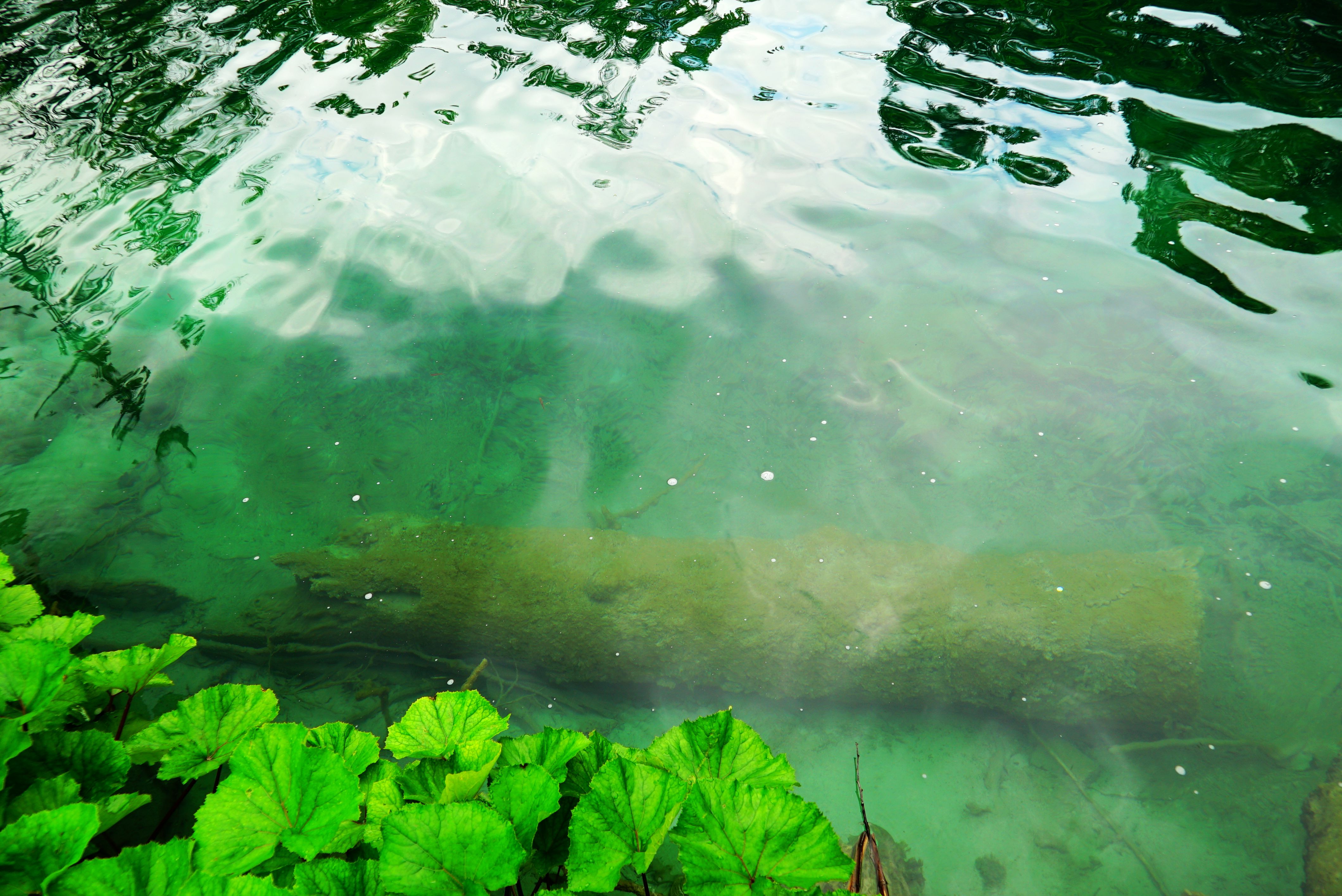 克罗地亚十六湖国家公园,克罗地亚十六湖仙境