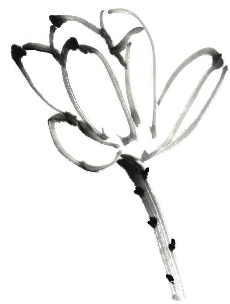 国画刘存惠荷花画法全视频,国画山水画教学视频荷花画法