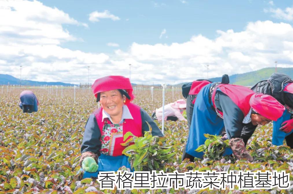 2018云南各地州招商引资,云南16州市如何招商引资