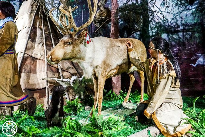 中国56个民族知识大全书籍,关于中国56个民族的知识