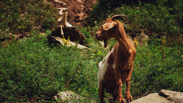 立场不同，请不要随意指责