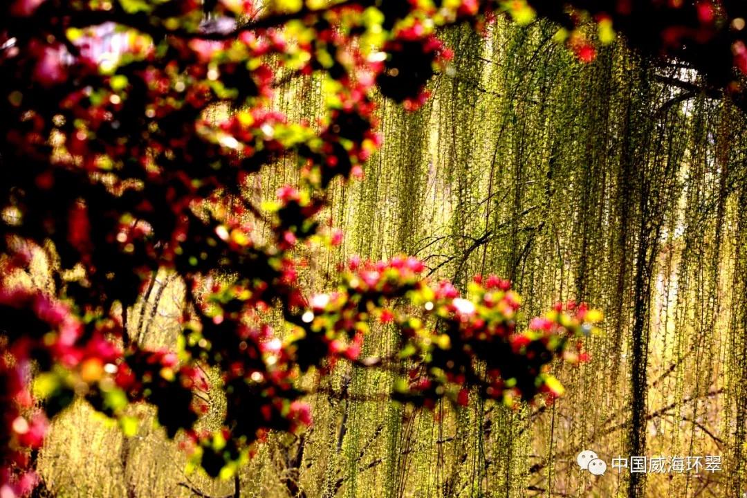 环翠景色,环翠美景