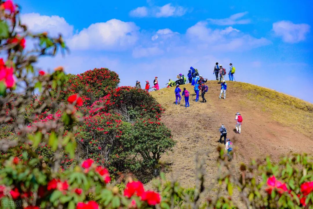 花海中如何拍照,花海里怎么拍照最好看