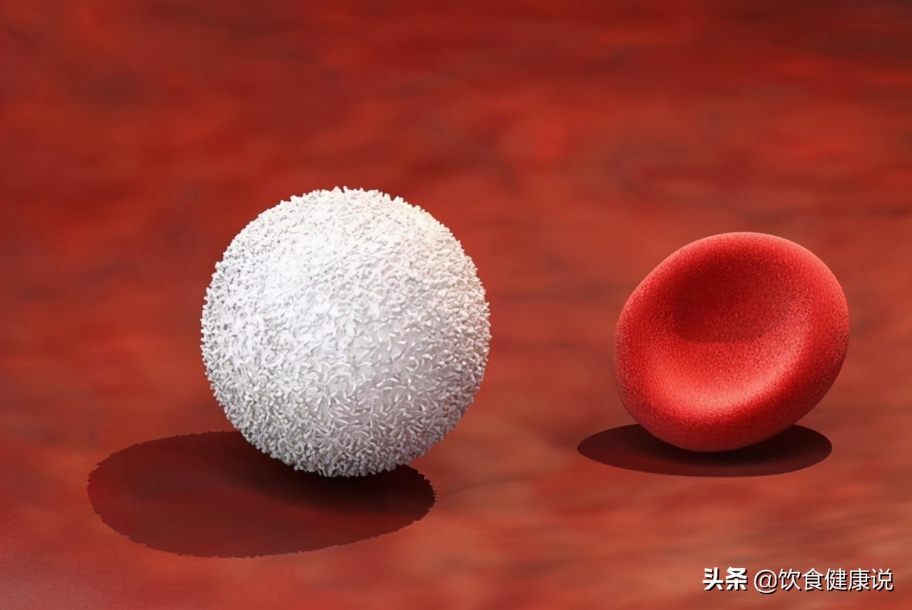 血常规检查有三个指标要注意,血常规检查主要看哪几项