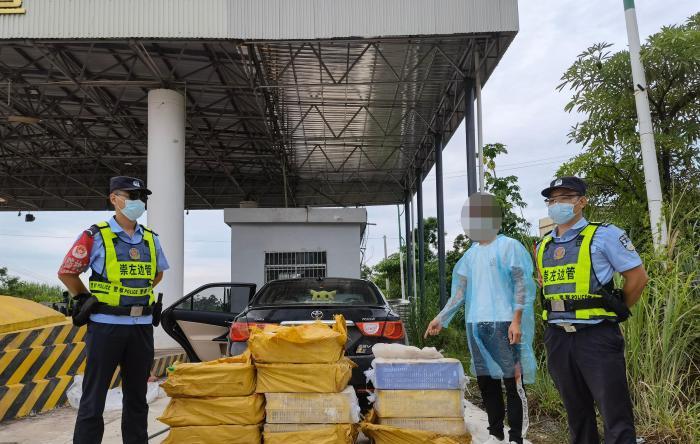 查获眼镜蛇,广东查获900斤眼镜蛇