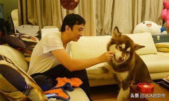 王思聪在日本的影响,王思聪是否去过日本