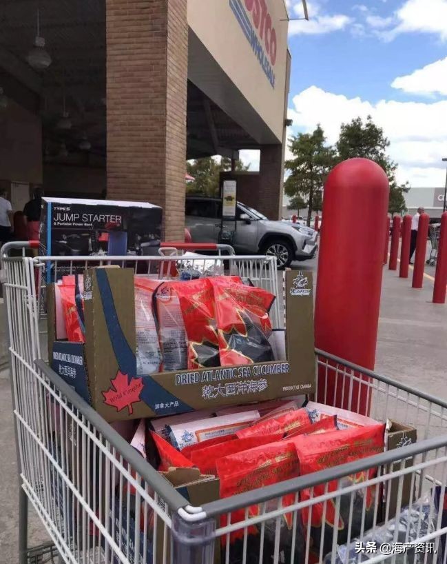 加拿大海参开袋即食,加拿大海参专卖店