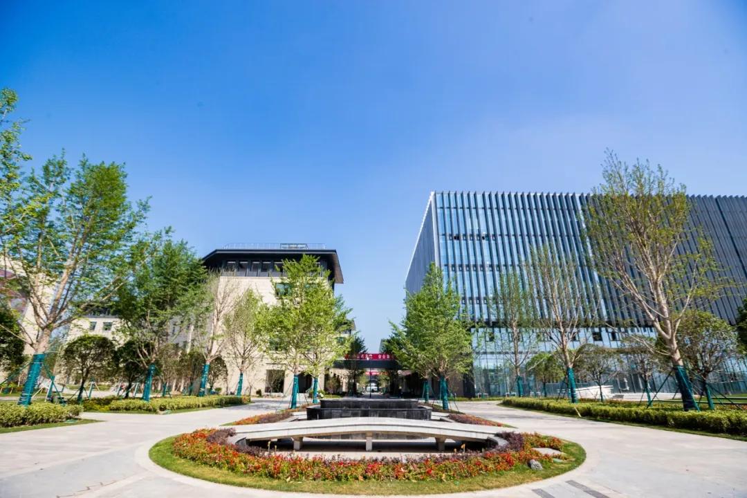 南京一中江北平面图,南京一中泰山分校平面图