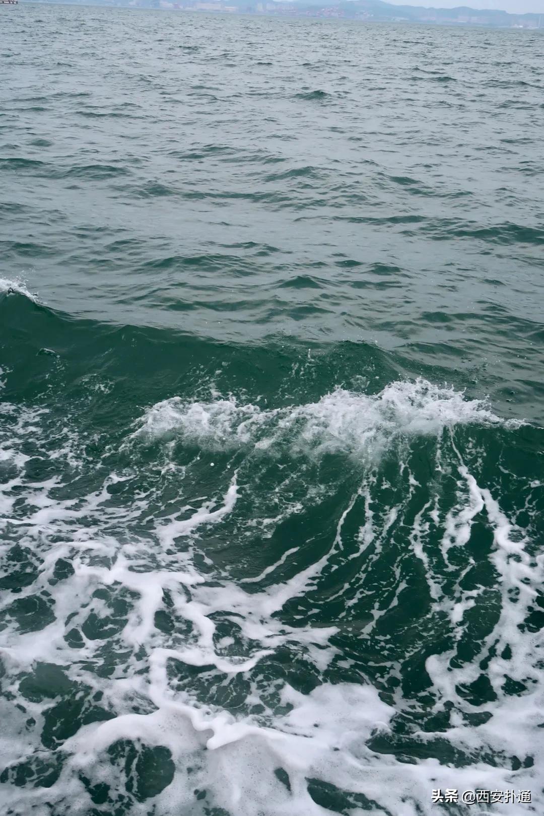 青岛烟台威海玩海攻略,青岛威海烟台大连环线旅游攻略