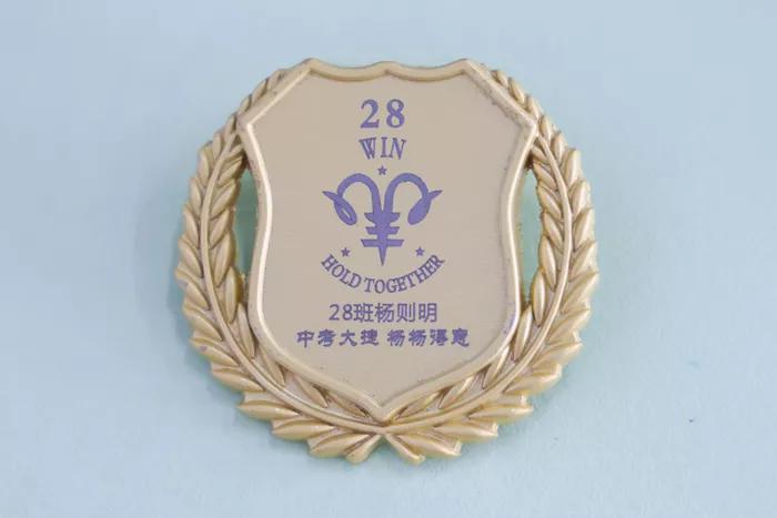 凝聚集体力量的班徽,团结友爱拼搏进取班徽