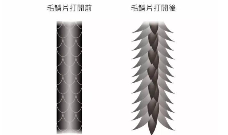 如何改善发质,发质油腻怎么改善