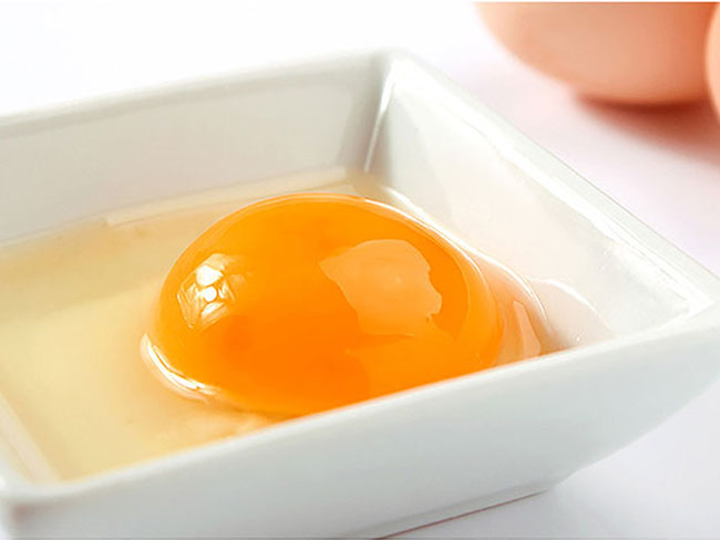 黑水虻虻浆酵素蛋白在蛋禽养殖中的实际应用和效果分析