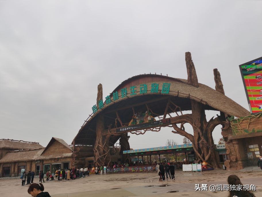 不一样的南通动物园,南通森林野生动物园和上海动物园