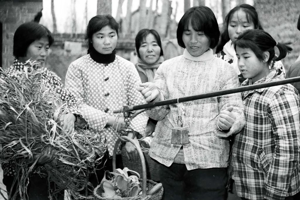 垃圾堆里亿万富翁,致富经垃圾堆里的商机