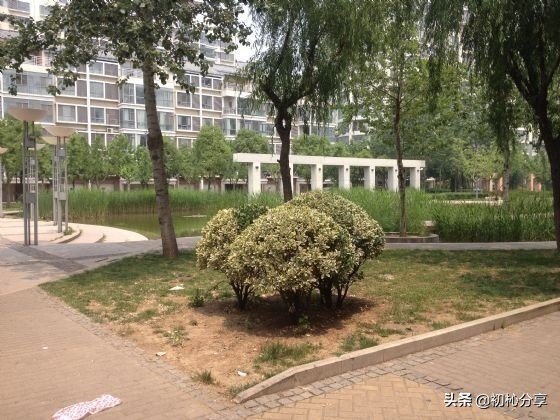 2013年临沂香榭丽舍房价,香榭丽舍临沂房价多少