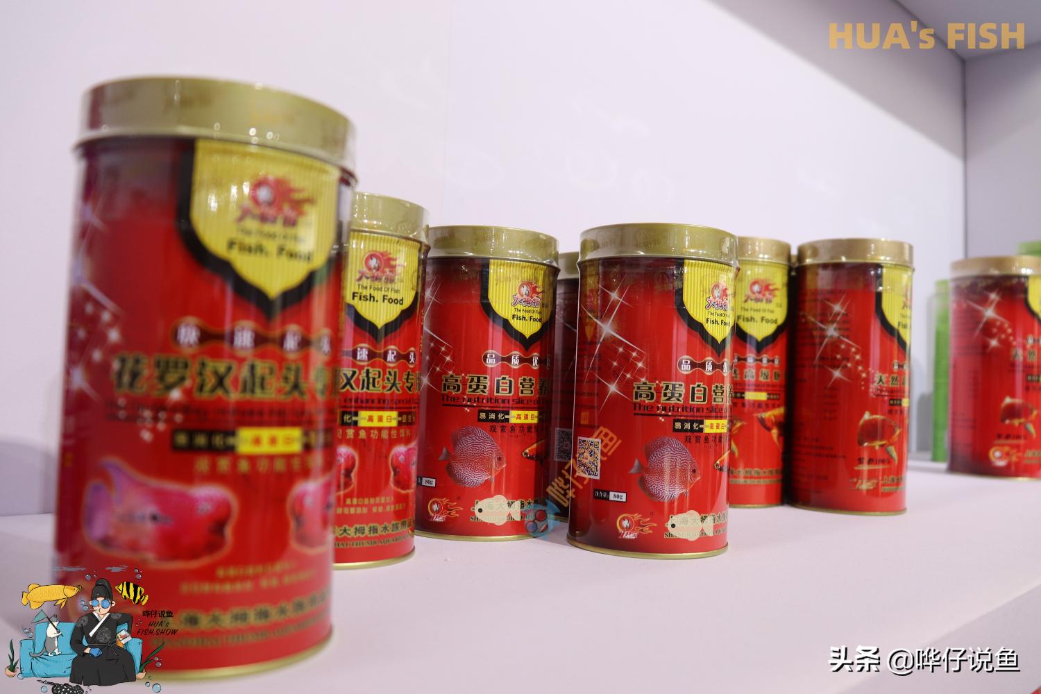 如何选择鱼粮？为观赏鱼选择口粮，有时挺烧脑