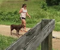 揭秘互联网比较常见的网赚骗局,知识分享割韭菜新套路