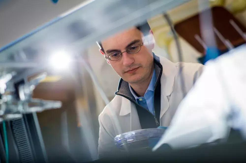 子宫内膜癌的抗癌药物,子宫癌新药