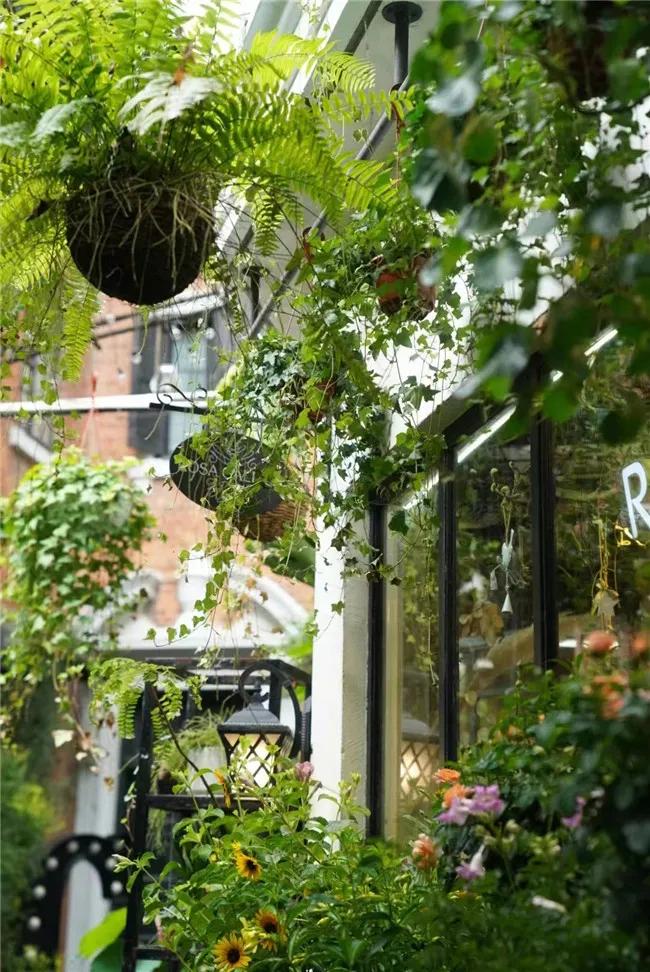 上海老牌网红店,上海老法租界店