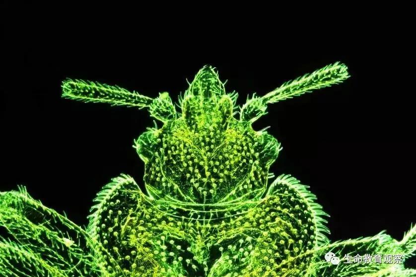 看完后，整个人都有点不对劲了（传播生物知识）