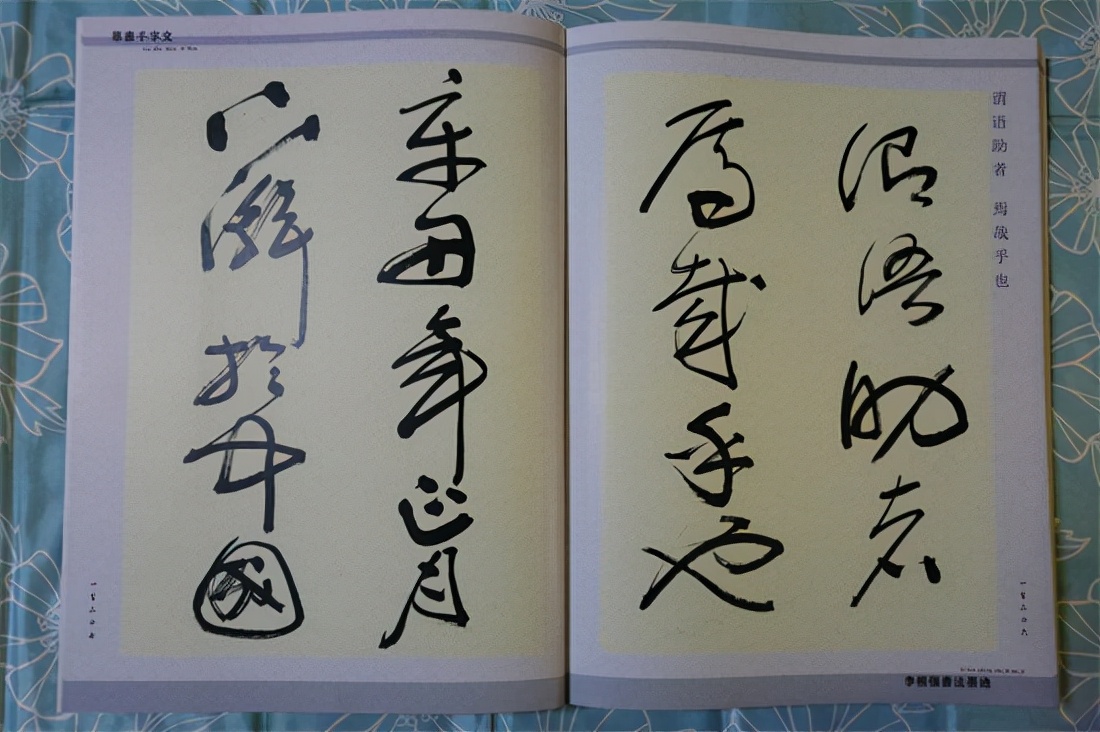 草书千字文真迹,书法千字文作品欣赏启功先生