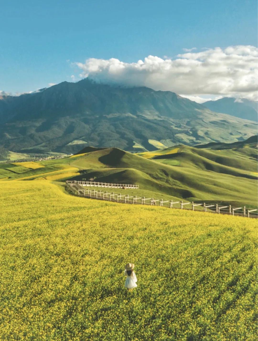 重庆暑假避暑好去处,暑假来了去哪里玩