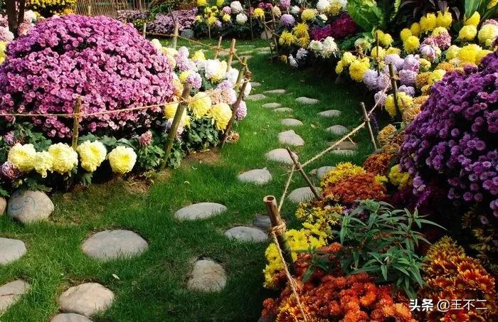 远赴人间盛宴谈笑风生不动情,远赴人间惊鸿宴谈笑风生不动情