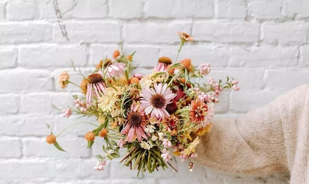 花材不剪枝如何养护,花材不用换水养护方法大全