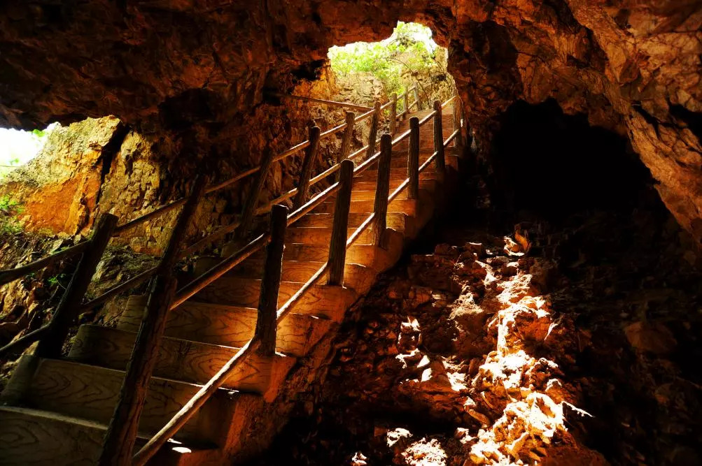 来一场原始森林的探险之旅——大连天门山旅游攻略