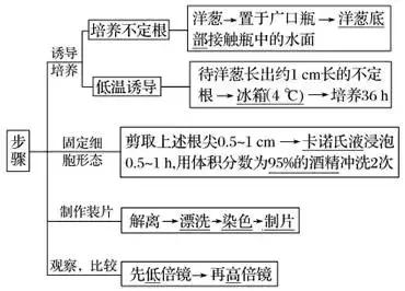 高中生物实验方法归纳图怎么画的,高中生物实验专题归纳